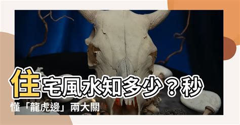 客廳龍邊擺設|【住宅龍虎邊】住宅風水知多少？秒懂「龍虎邊」兩大。